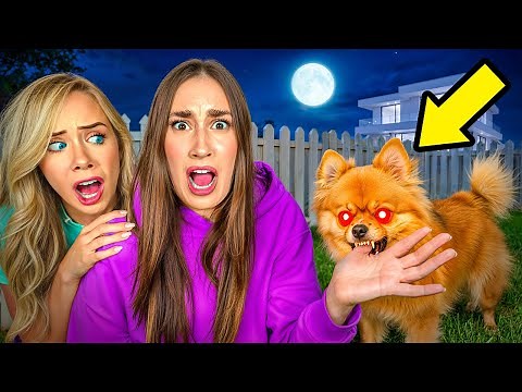 MY BEST FRIENDS DOG IS POSSESSED...