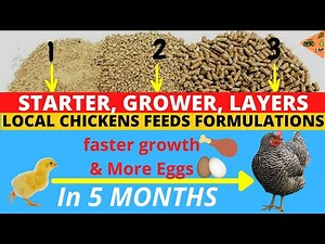 POULTRY CHICKEN FEEDS FORMULATIONS (Starter, Grower, Layers)| Grow faster & Lay MORE EGGS 🥚