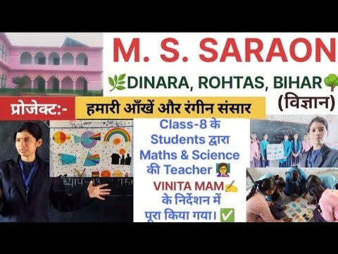 🔴February Publication Our Eyes and the Colorful World Project 🌳 Class 8 Science Our Eyes and the ...