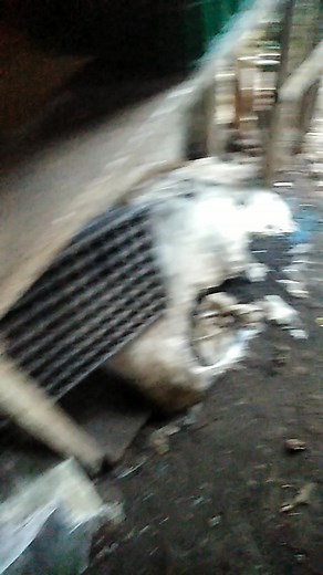 Teodoro Naive Requiz on Reels