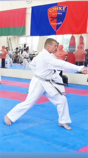 Kihon San Ren Tsuki #karate #Piatsko #budo #gyaku #sensei #空手道 #martialarts #sports #kihon #jks #oss