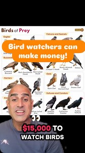 #samgov #sidehustle #governmentcontracting #howtogovernmentcontract #contractor #samstream #remotejobs #remotework #smallbusiness #governmentmoney #greenscreen #fypシ゚viral #capabilitiesstatement https://samstream.ai/ | SAMstream | Facebook