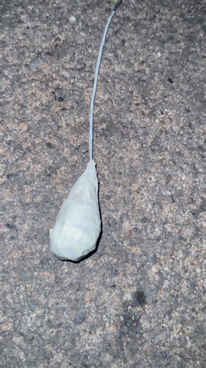 Fire Works and Experiments on Instagram: "GROUND COLOR SHOT SHELL TESTING"