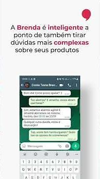 Demonstração do Atendimento e do Pedido via Sistema da Brendi