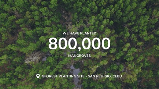 GForest, the largest digital eco-movement, is improving the livelihood of local farmers in Cebu! GCash, through GForest, supports members of Cebu's People's Organization by providing additional livelihood opportunities through tree planting. Thanks to our Green Heroes, GCash has successfully planted 800k Mangroves in Cebu, directly benefiting the lives of Filipino families through tree planting. Make a lasting impact and help fellow Filipinos by planting a tree on #GForest! ✨🌱💙 Supervised by t