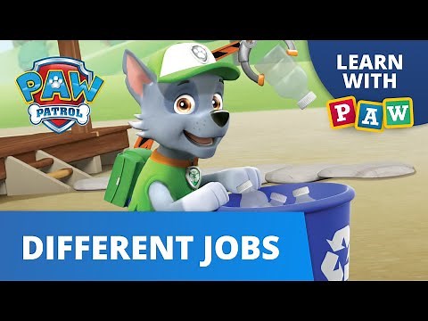 PAW Patrol Learn Jobs & Work! - The Jobs of Adventure Bay - Learn with PAW Patrol