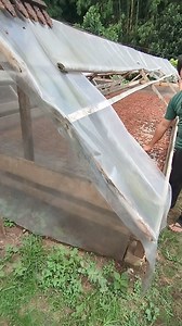 121K views · 1.5K reactions | 6 days fermentation and Intermittent drying for 7 days #cacao post harvest | CACAO tutorial ni JM | Facebook