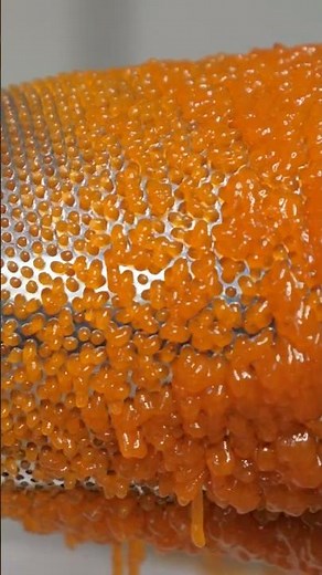 Wild persimmon from start to finish