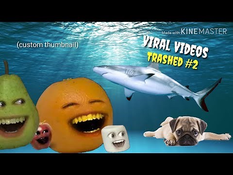 Scenes from Annoying Orange Viral Videos Trashed #2