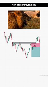 106K views · 689 reactions | New Vs Smart Trader Psychology | Advance Price Action Setup | Day Trading . . . . . . . . . . . . . . . . . . . . . . . . #trading #crypto #cryptotrading #tradingstrategy #priceaction #tradingforex #smc #daytrader | The Positive Trader | Facebook