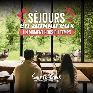 ❄ Cet hiver, offrez-vous une parenthèse d’amour au cœur de la nature. Pour la Saint-Valentin ❤️ et pendant les vacances de février, le Parc Animalier de Sainte-Croix vous invite à vivre un séjour hors du temps, intime et unique. ☀️ Le jour, partez à la rencontre des animaux dans toute leur splendeur. Observez leurs parades nuptiales, leurs jeux complices et les liens tendres qui se tissent entre eux, dans le calme et la beauté feutrée de l’hiver. ✨ À la tombée de la nuit, laissez-vous envoûter p