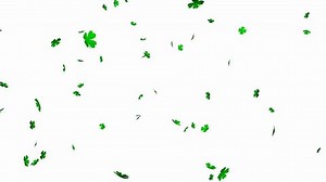 Four Leaf Clover Seamless Looping Alpha Stock Footage Video (100% Royalty-free) 1006840390 | Shutterstock