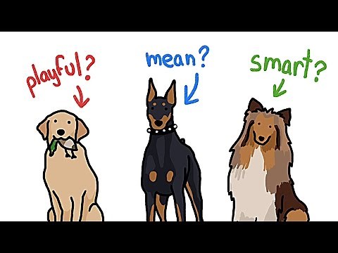 How Different Are Different Types of Dogs?