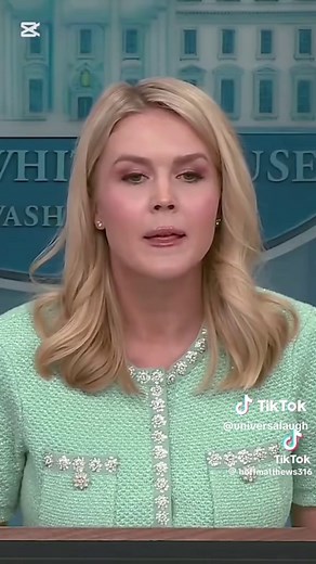 Cop Thinks Sandwich Is Phone: Hilarious Moment Revealed