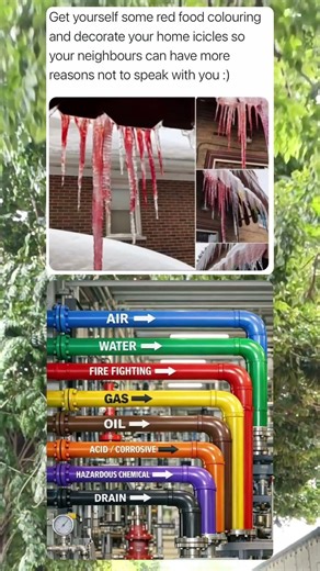 Color-Coded Industrial Pipes Showing Clear Flow Direction and Function 🏭🔧