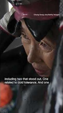 The all-female free divers of Jeju Island have a 'superpower' in their genes