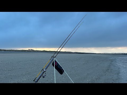 Sea Fishing Ffrith beach Prestatyn - Windy conditions didn’t stop the fish :)