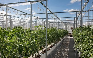 Paris, une collectivité engagée dans la finance verte et durable