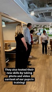 Guide Dogs Australia on Reels