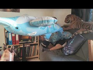 inflatable dolphin 2021