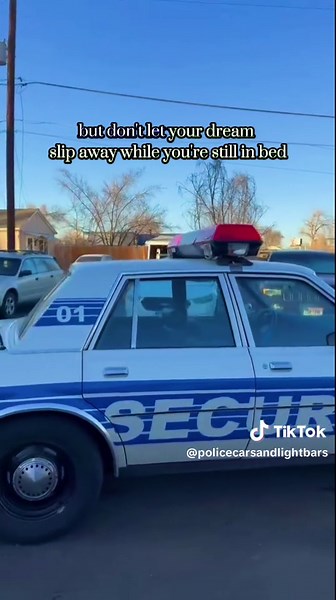 Exploring the 1984 Plymouth Gran Fury in Security Services