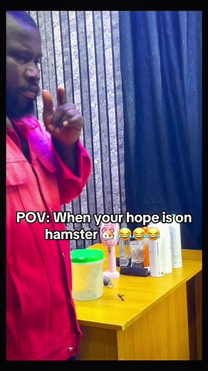 Funny Hamster Videos Compilation 🐹 | Hilarious Hamster TikTok Moments