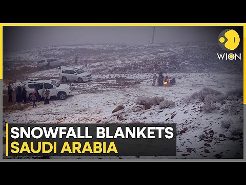 Saudi Arabia: Rare Snowfall Blankets Saudi Arabia's Ha'il | WION