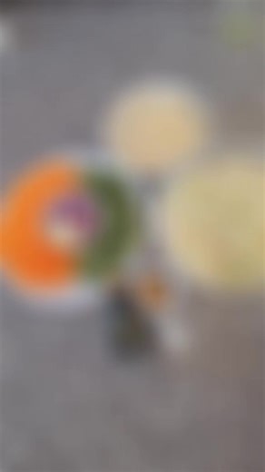 Delicious Vegetable Spring Rolls Recipe