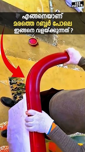 How is wood bent like rubber?