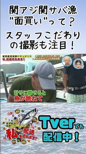 【Tverで配信中！】関アジ関サバ漁の“面買い”とは？スタッフこだわりの撮影にも注目！産直直送追跡ドキュメント 私、配送されます！#バイきんぐ #小峠英二 #朝日奈央 #大分 #グルメ