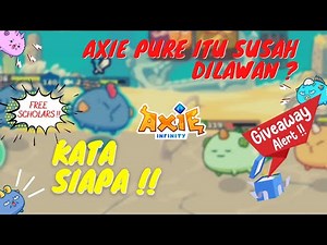 Tips Bermain Axie Infinity Indonesia | CARA AMPUH MELAWAN AXIE PURE