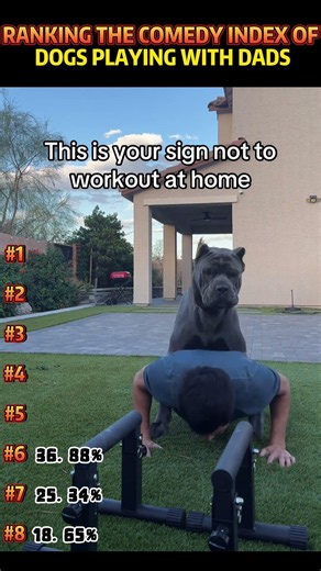 The dog likes to play with its dad #funny #dog #funnyvideo #funnydog #funny youtube#dogvideos