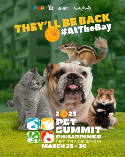 Ayala Malls Manila Bay on Reels