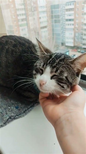 5 апреля 2026 г.