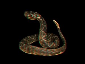 Anaglyph 3D Red/Cyan Slideshow Vol 4