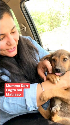 62K views · 4.1K reactions | Support at 8826257357 yeh masoom se baache daar rahe hai keh rahee hai mat jaao isko arram se comfortable kiya shelter me khaana diya #puppy #puppies #puppylove #puppylovers #puppylife #dogmother #dogmom #dog #dogs #dogfood #doglife #doglover #doglovers #streetdogs #streetdogsofindia #supportus #blessings #love #reels #viral #instareels #insta #instagram #fbreels #fbreelsfypシ゚viral #fbreelsvideo #fbpost2024 | Bezubaanjaan1517 | Facebook
