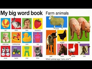 Watch how to sign 'wordbook' in American Sign Language.