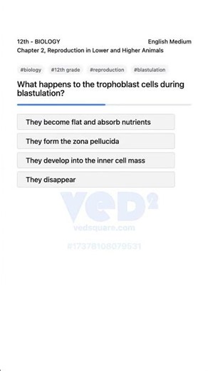 Blastulation Trophoblast Cells Role 12th Biology