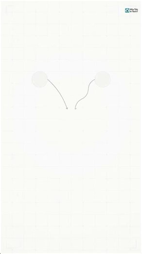 Why did the filter lie?