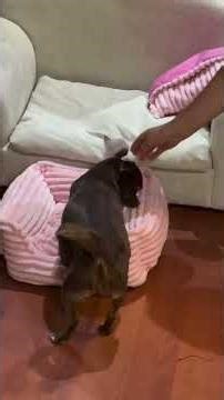 Instant Serotonin Boost (Cure Your Depression) 🥺❤️