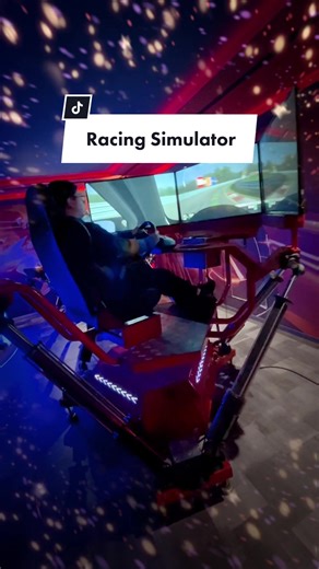 Racing Simulator Experience at VR Vidampark