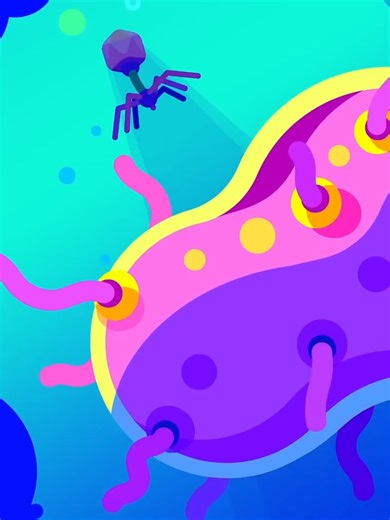 Bacteriophages // credit to @kurz_gesagt #science #kurzgesagt #thoughtful #hd #animation