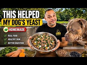 This Cheap Homemade Dog Food Recipe Stops Yeast Infections Fast!