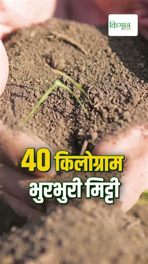 Azolla Production के लिए कैसे तैयार करें टैंक और क्या है तकनीक?