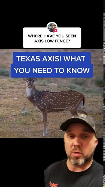 The Surprising Facts About Axis Deer in Texas