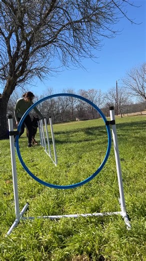 Our agility kits are great for pups of all sizes and trainers of all levels! Looking for a hobby? Agility is the perfect one and includes your dog!  @canineantics | bettersportingdogs | Facebook