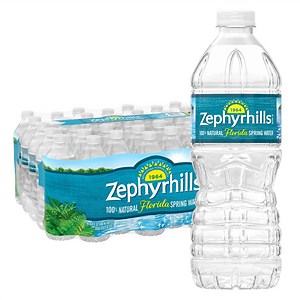 Zephyrhills 100% Natural Spring Water 16.9 fl. oz., 40 pk. - Samsclub.com