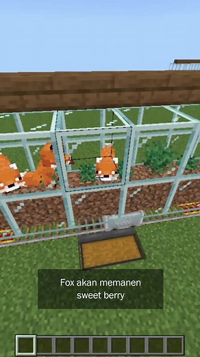 Sweet Berry Farm Tutorial in Minecraft
