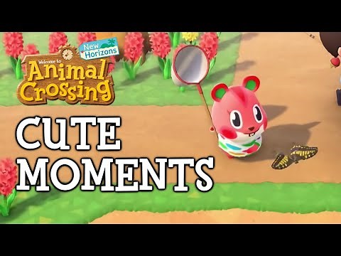 Cute Moments / Animal Crossing: New Horizons
