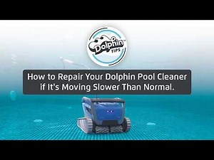 How to Repair Your Dolphin Pool Cleaner if It's Moving Slower Than Normal
